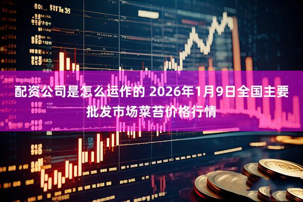 配资公司是怎么运作的 2026年1月9日全国主要批发市场菜苔价格行情